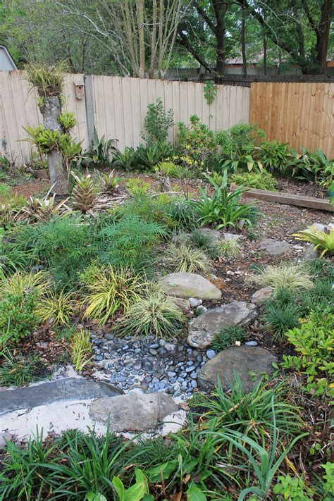 The Rainforest Garden How To Design A Dry Creek Bed 10 Tips