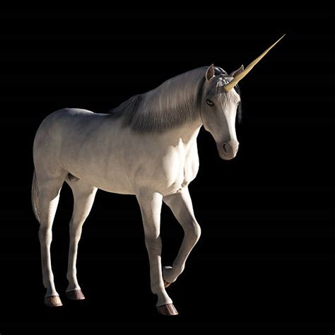 Best Unicorn Horn Stock Photos Pictures And Royalty Free Images Istock