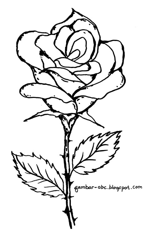 15 Contoh Sketsa Gambar Bunga Mawar Yang Mudah Terbai