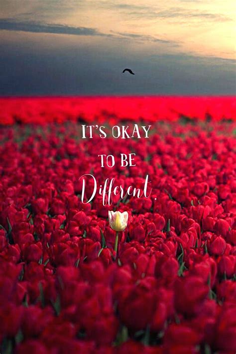 Tulip famous quotes & sayings: That's okay | Tulips flowers
