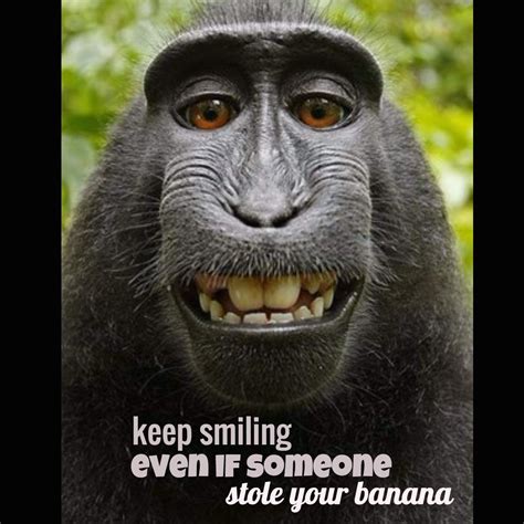 Keep Smiling Monkey Flirting Quotes Funny Bad Pick Up Lines