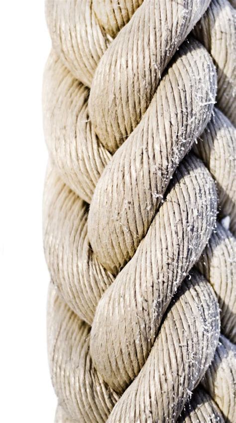 Thick Rope Stock Image Image 12713601