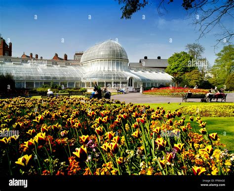 Spring Flowers Botanic Gardens Queens Belfast Lanyon Northern Ireland