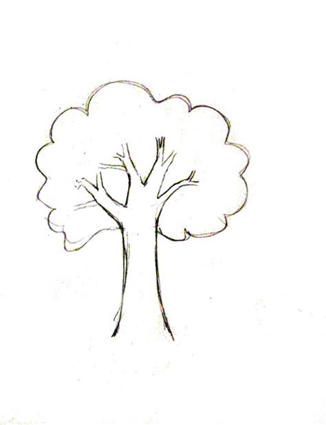 How To Draw A Tree