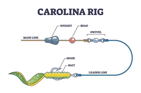 The Carolina Rig Secrets To Catching Giant Bass