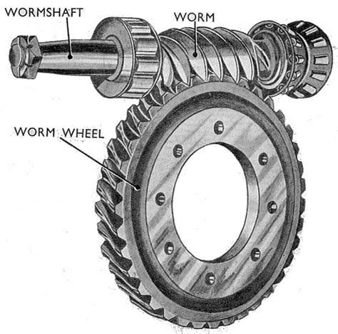 WORM AND WORM GEAR Mechanical Engineering Professionals
