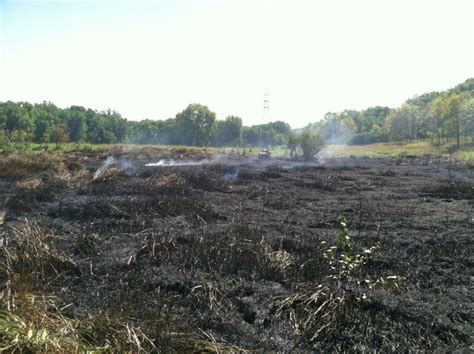 Restoring Floodplain Forests In The Vermillion Bottoms And Lower Cannon