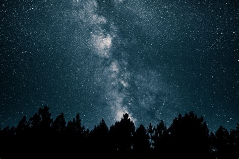 Night Sky Starry Night Night Sky Stars Galaxy Blue Milky Way Trees Dark Black Long