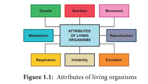 Biology Characteristics Of Living Organisms