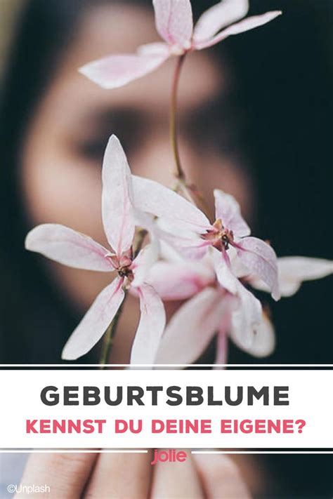 Geburtsblume Das verrät sie über deinen Charakter Geburt blumen