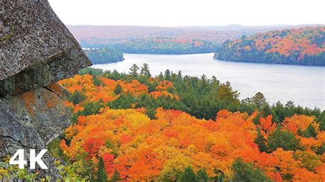Beautiful Fall Colours In Canada Algonquin Park Autumn Ambience 4k