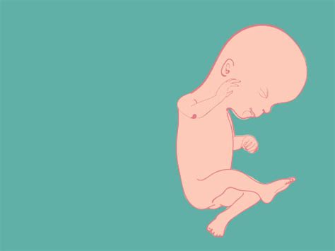 16 Semanas De Gravidez Já Sentiu Os Chutinhos Do Bebê · Mãe Pop