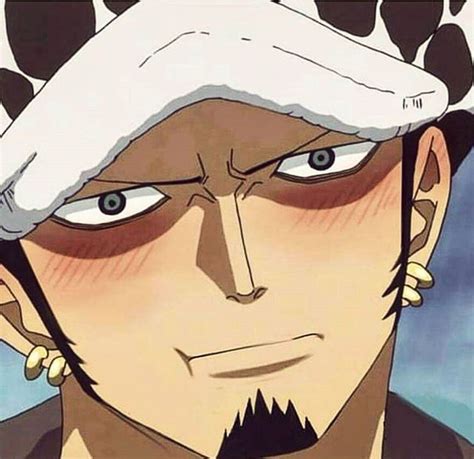 Trafalgar D Water Law Manga Anime One Piece One Piece Anime One