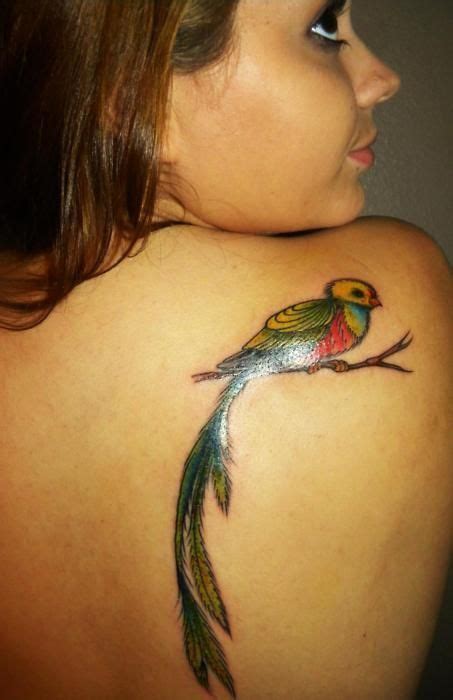 7 coloridos tatuajes del quetzal el pájaro sagrado de los mayas y aztecas tatuajes de creer