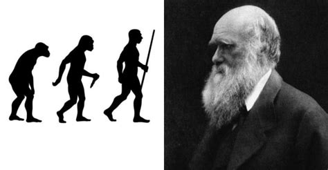 25 Evolutionary Facts About Charles Darwin