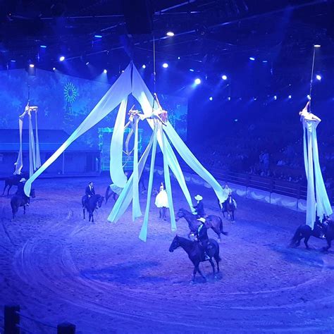 Gold Coast Accessible Activities Australian Outback Spectacular Image