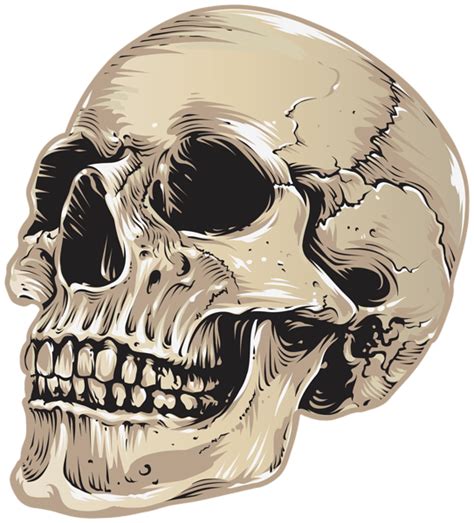 Skull Halloween Clipart Gallery Yopriceville High