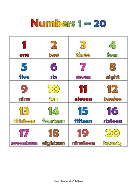 1 20 Number Chart Preschool Charts Preschool Math Number Chart