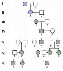 Genetics Past Exams Flashcards Quizlet