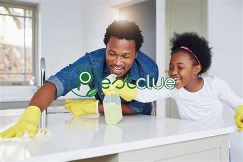 Keep Your Home Healthy With These Great Tips Pestclue