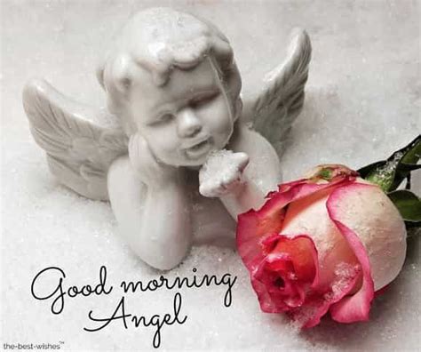 120 Best Good Morning Angel Images Good Morning Angel Angel Images