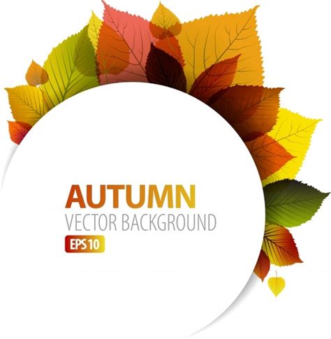 Autumn Background Template Colorful Leaves Decor Bright Modern Vectors