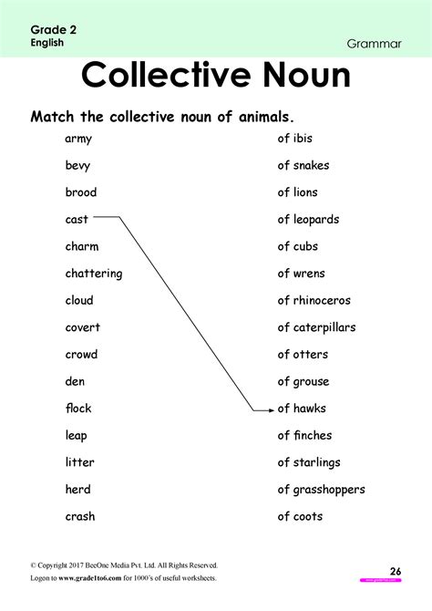 Collective Noun Of Animals Worksheets