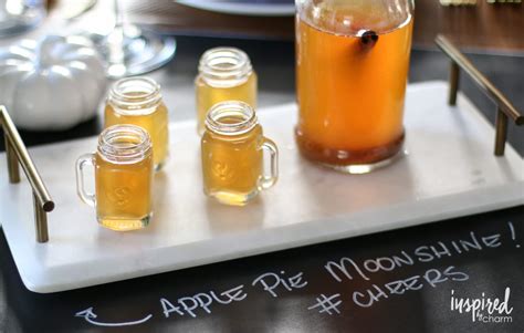 What you need to prepare apple pie moonshine recipe with everclear