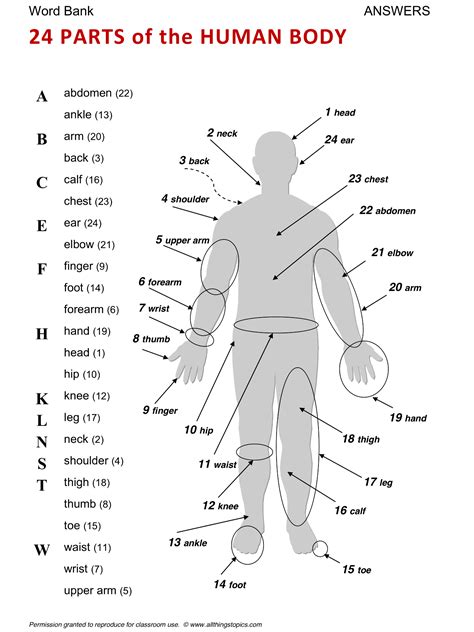 English human body parts names with pictures; Body, English, Learning English, Vocabulary, ESL, English ...