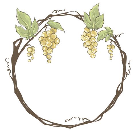 Best Round Vine Fruit Border Illustrations Royalty Free