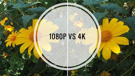 4k Vs 1080p Sample Video Comparison Youtube
