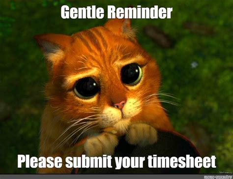 Meme Gentle Reminder Please Submit Your Timesheet All Templates