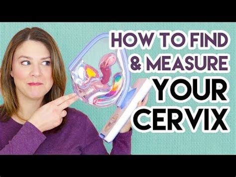 How To Find And Measure Your Cervix YouTube Cervix Menstrual Cup Menstrual