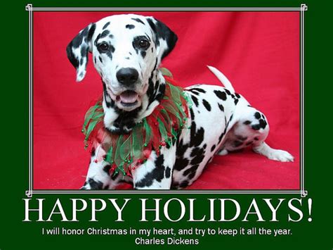 Holiday Dog Quotes Quotesgram