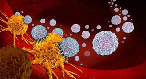 Precision Onco Immunology When Digital Pathology Meets Tumor