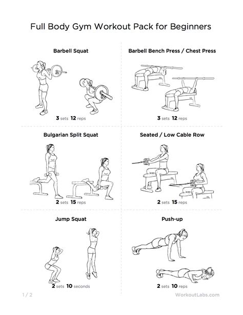 Full Body Gym Workout Plan
