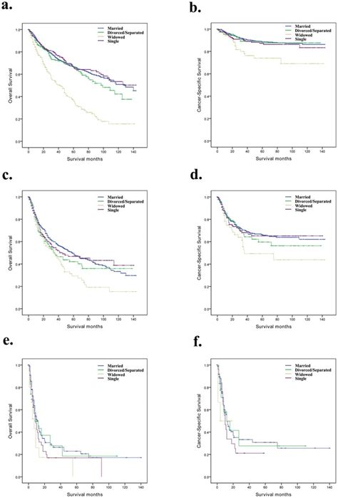 Overall Survival And Cancer Specific Survival Curves Of Penile Cancer