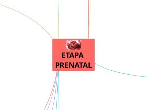 Etapa Prenatal Mind Map