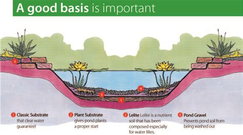Pond Soil The Nutrient Medium Of Your Pond Velda