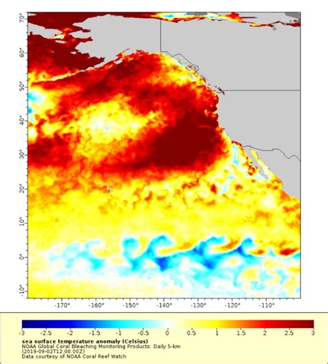 New Marine Heat Wave Is Reminiscent Of ‘the Blob And Scientists