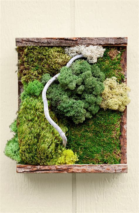 This Diy Preserved Moss Wall Art Will Add Greenery To Your Interiors