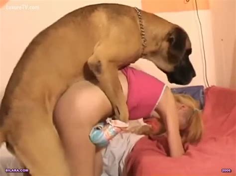 Chiens Sex Video Sex Pictures Pass