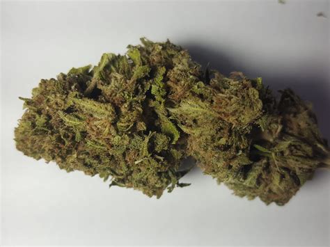 Gorilla Glue Strain Santa Barbara Hybrid Cannabis Pot Valet