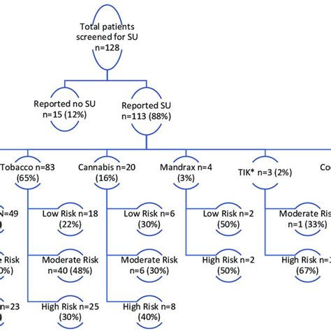 Rifampicin Resistant Tuberculosis Substance Use Intervention Flow