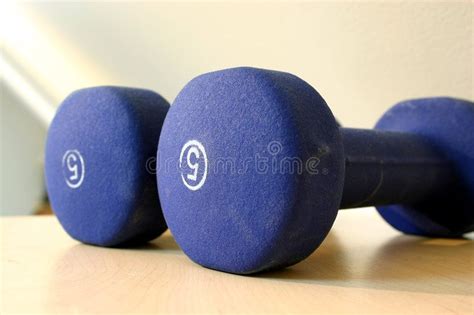 blue five pound weights five pound weights for light workout in blue ad weights pound