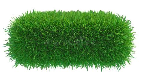 Green Grass Piece Isolated On White Background Stock Illustration