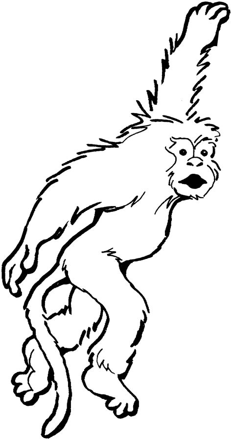 Funny monkeys coloring page for children. Monkey Coloring Pages