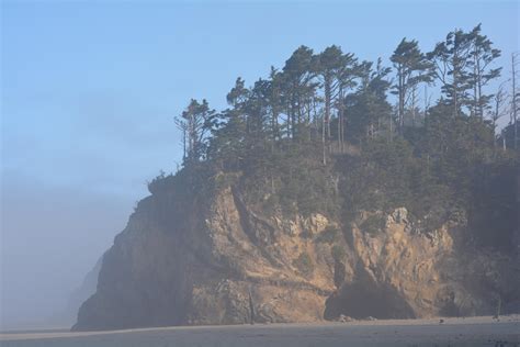 Foggy Morning On The Oregon Coast Oc 6000 X 4000 Imagesoforegon