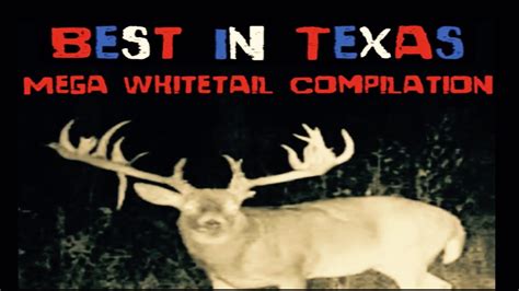 Biggest Whitetail Buck Ever Killed In Texas 2018 Compilation Of A