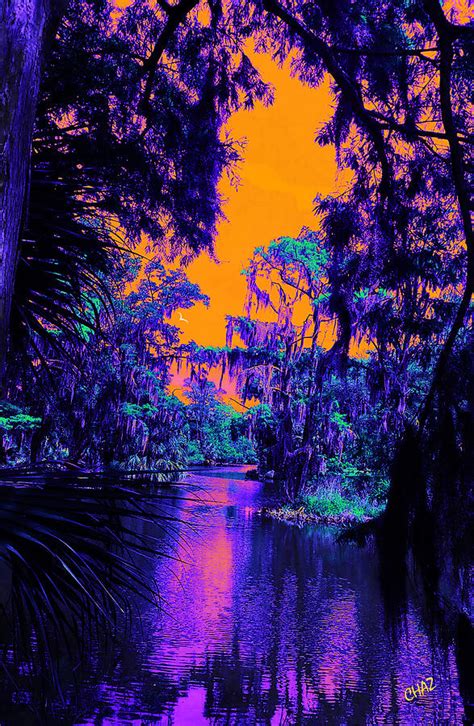 Tropical Sunset Photograph By Chaz Daugherty Fine Art America